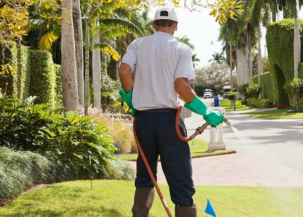 About Malott WA Pest Control Pros